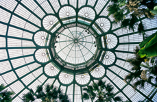 The dome of the Royal Greenhouse of Laeken