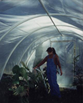 PVC Pipe Greenhouse Plans