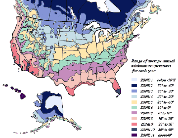 Plant Zone Chart